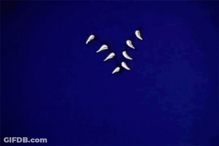 Spooky Scary Skeletons Ripping Paper GIF