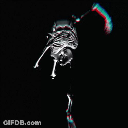 Spooky Scary Skeletons Running GIF