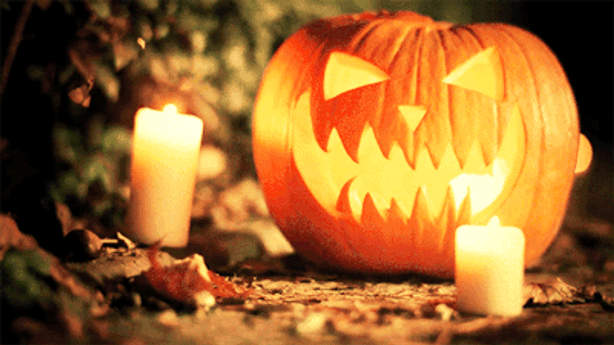 Spooky Tuesday Candle Pumpkin Night GIF