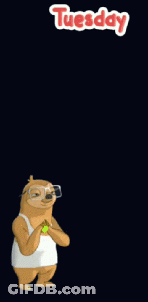 Spooky Tuesday Sloth Playing Ball GIF