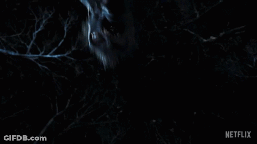 Spooky Wednesday Bat GIF