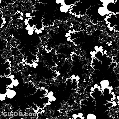 Spoonflower Waves Spiral Illusion GIF