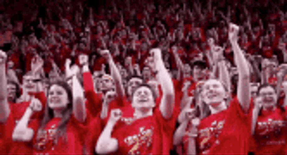 Sports Fans Dancing GIF
