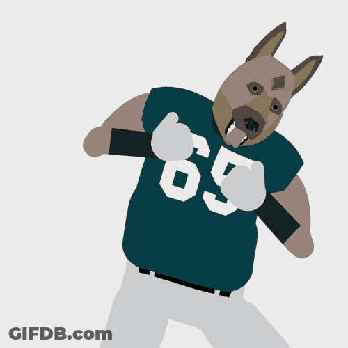 Sports Football GIF