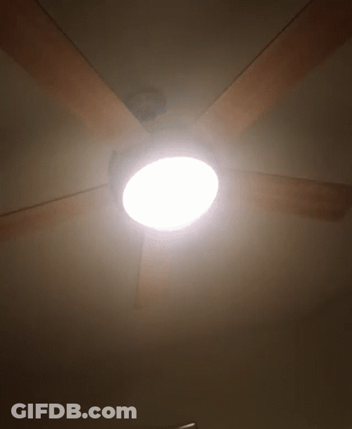 Spotlight Ceiling Fan GIF