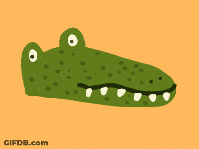 Spotted Alligator Opening Its Mouth GIF