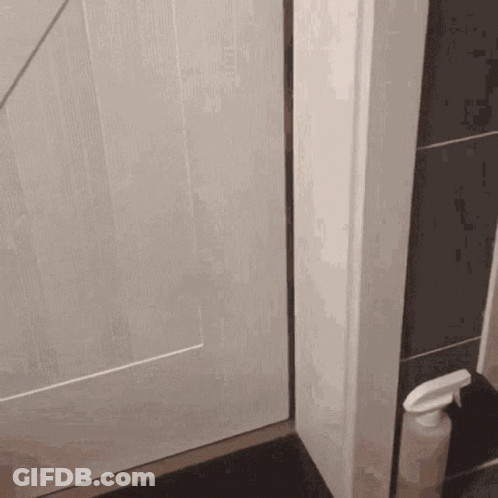 Spray Bottle Next To White Door GIF