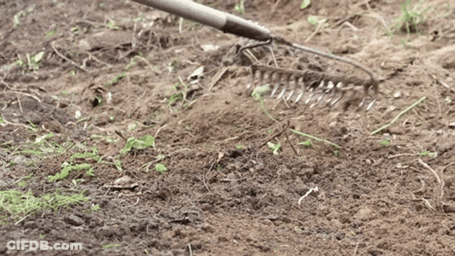 Spreading Mulch With A Rake GIF