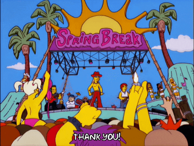 Spring Break Beach Party The Simpsons GIF