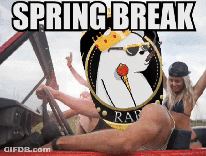 Spring Break Rare Bitcoin Meme GIF