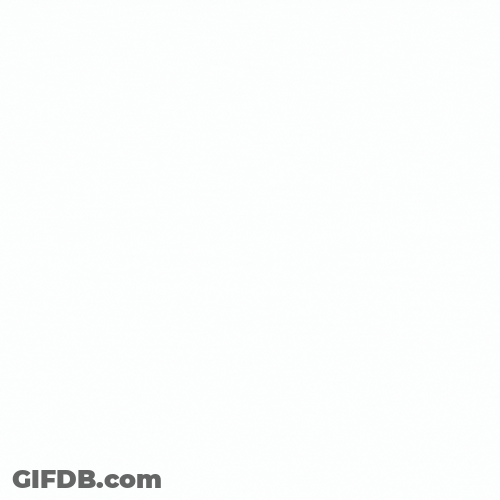 Spring Butterflies In The Air GIF
