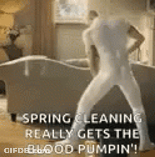 Spring Cleaning Mr Clean Meme GIF