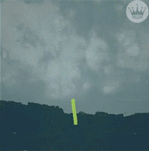 Spring Has Sprung GIF