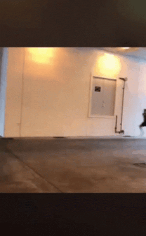 Sprint In Middle Of The Night GIF