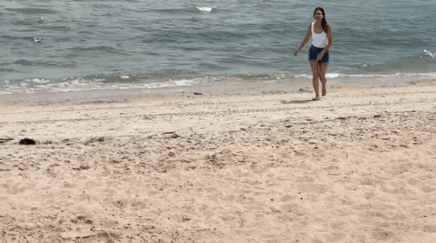 Sprint To Catch A Bird GIF