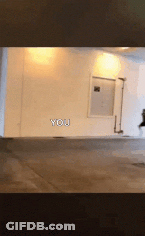 Sprint GIF