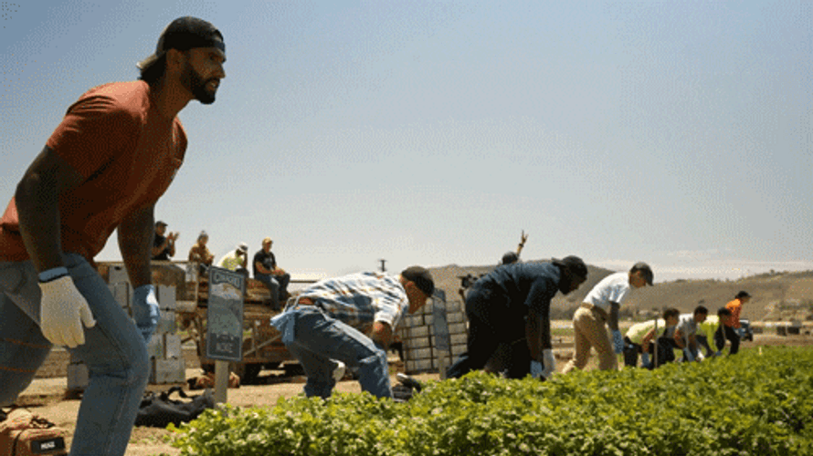 Sprinting Running Competition In Woods GIF