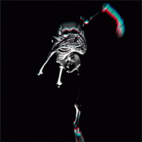 Sprinting Scary Doomer Skeleton GIF