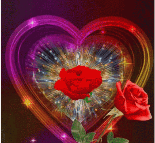 Sprouting Rose Corazon GIF