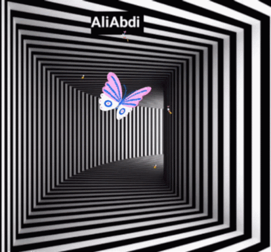 Square Hallway Illusion GIF