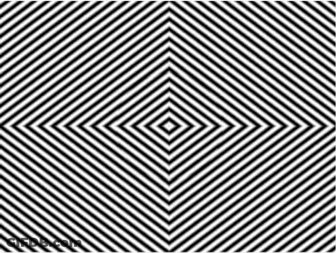 Square Intersection Loop Optic GIF