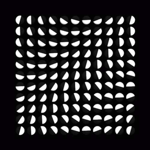 Square Loop Optic GIF