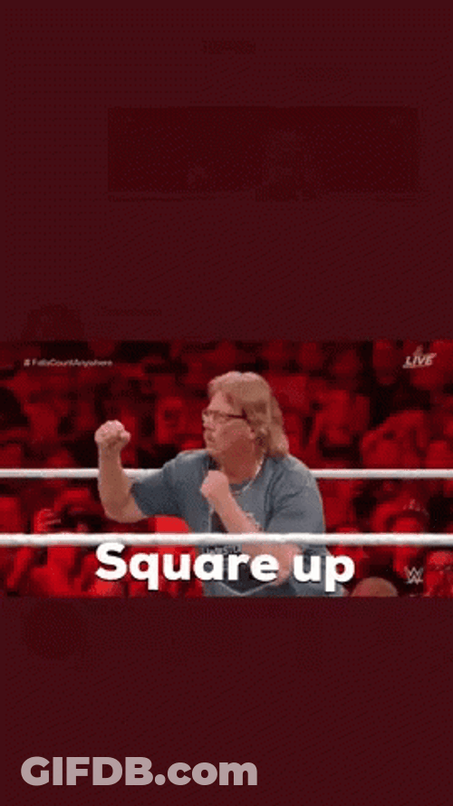 Square Up WWE Wrestling Audience GIF