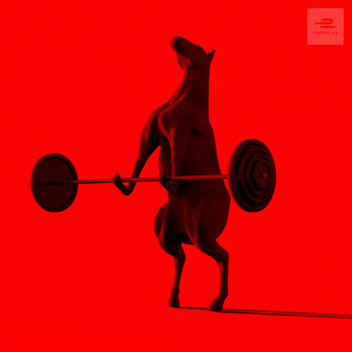 Squat Gym Horse Power GIF