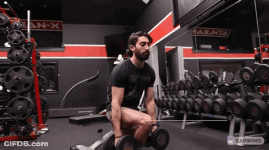 Squat Workout Fitness Exercise GIF