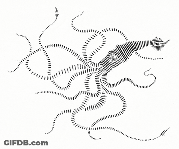 Squid Black And White Contrast GIF