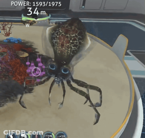 Squid With 34M Power GIF