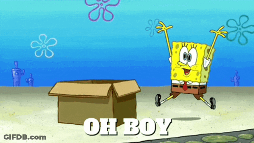 Squidiot Box Spongebob Squarepants GIF