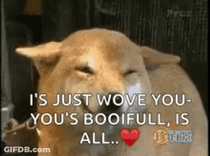 Squinting Funny Dog Meme GIF