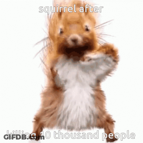 Squirrel After Killing 10 Thousand People GIF