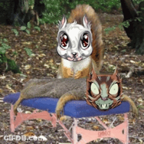 Squirrel And Cat Sitting On Bench Saying Gold GIF