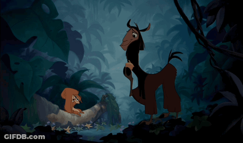 Squirrel And Llama In Dark Forest GIF