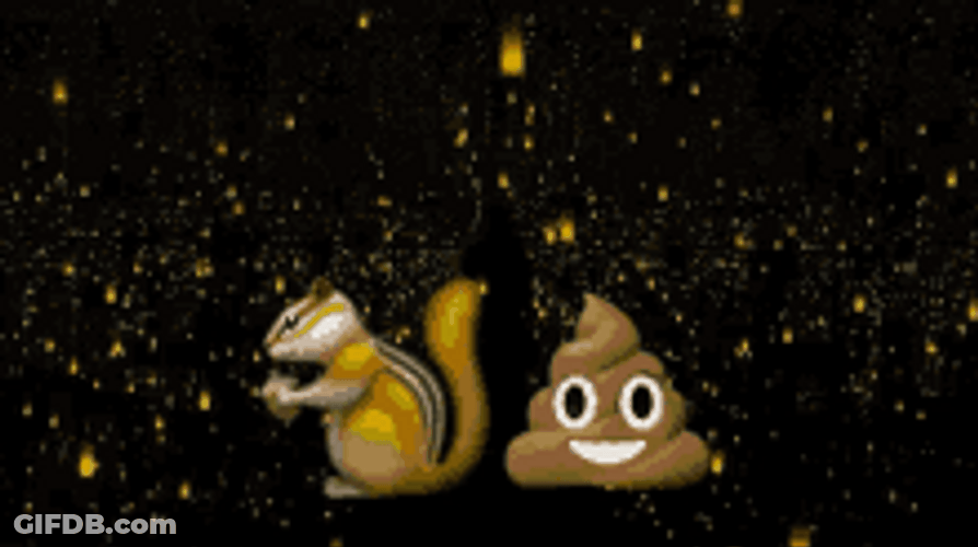 Squirrel And Poop Emoji With Shining Lights GIF