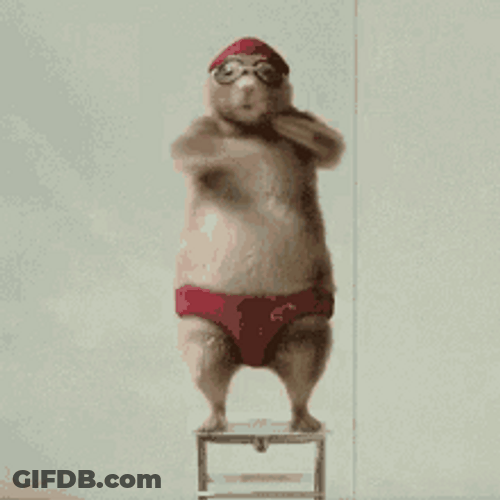 Squirrel Belly Dance Animation GIF