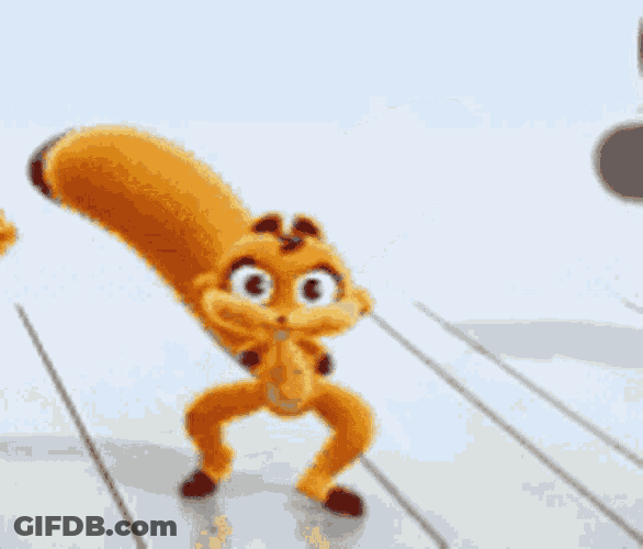 Squirrel Dancing GIF