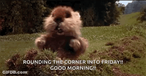 Squirrel Eating In Grass GIF