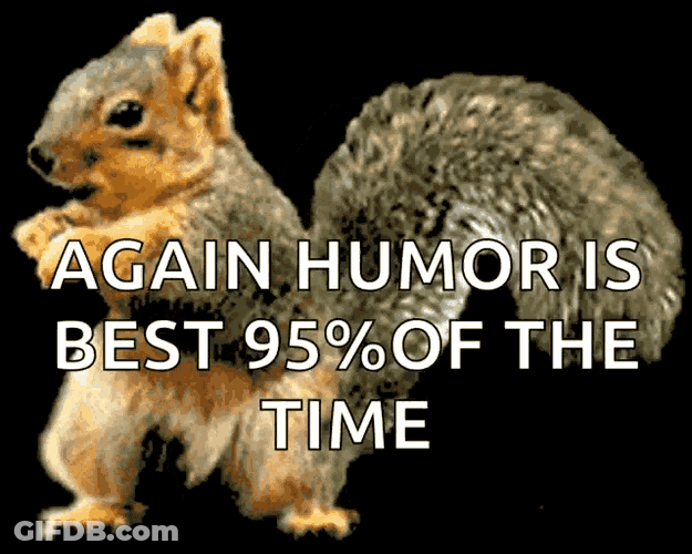 Squirrel Funny GIF
