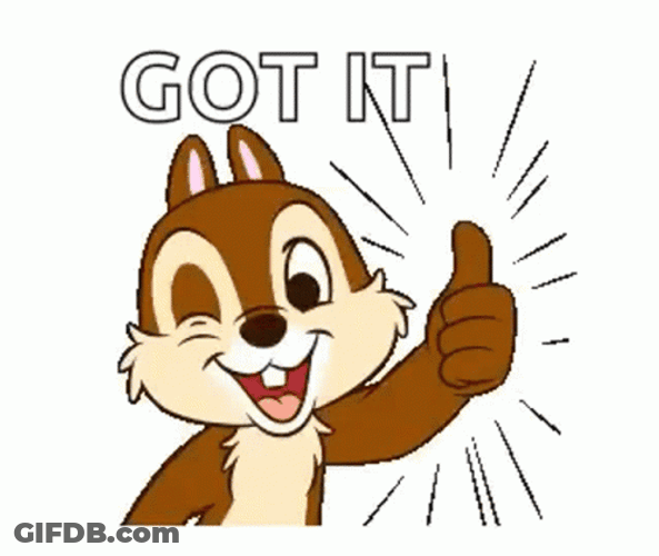 Squirrel Got It Thumbs Up GIF