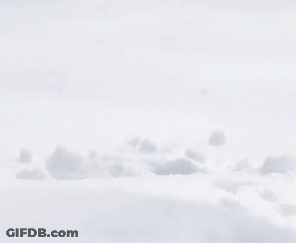 Squirrel Hide In Snow GIF