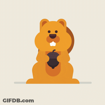 Squirrel Holding Acorn In Mouth GIF