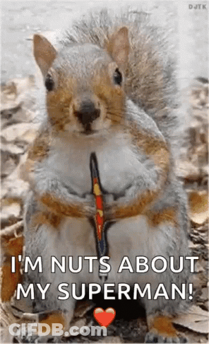 Squirrel Holding Bow And Arrow GIF
