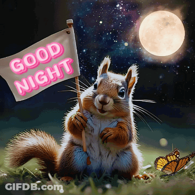 Squirrel Holding Good Night Sign GIF