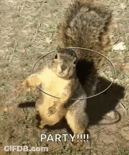 Squirrel Holding Hula Hoop Around Neck Standing On Hind Legs GIF