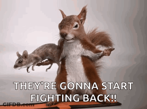 Squirrel Holding Mice Ready To Fight GIF