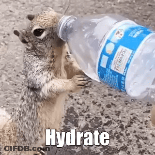 Squirrel Holding Water Bottle Over Head GIF