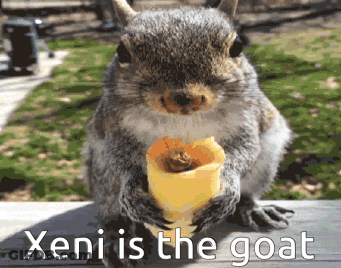 Squirrel Holding Yellow Object Xeni Is The Goat GIF